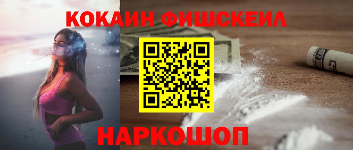 продажа наркотиков  Вход с VPN  Касимов  COCAIN Fish Scale  Кокаин 