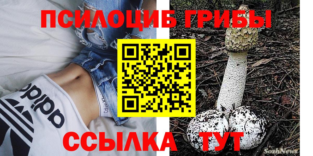 Касимов  Галлюциногенные грибы Psilocybine cubensis  Вход с VPN 